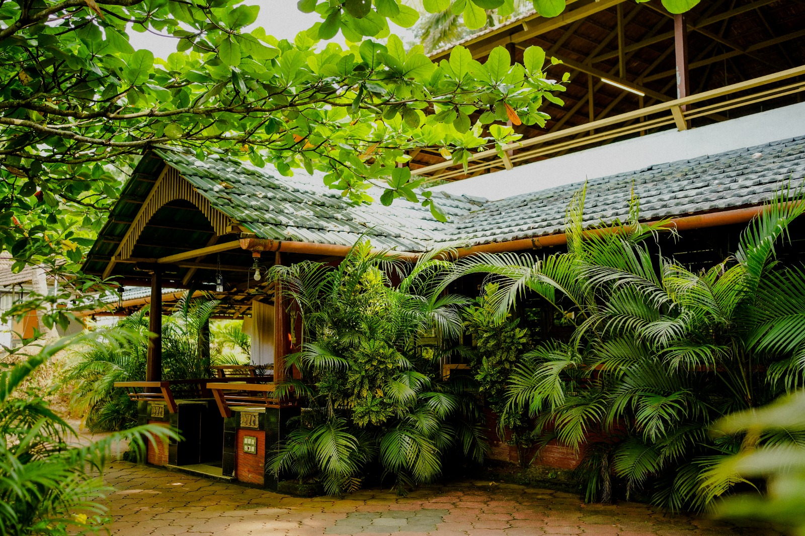 Misty Night Jungle Side Resort